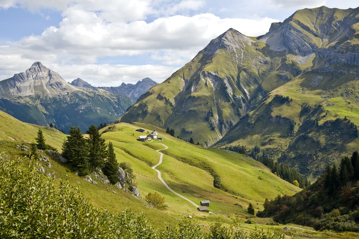 Bregenzwald